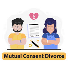 Online Mutual Consent Divorce Procedure in Delhi
